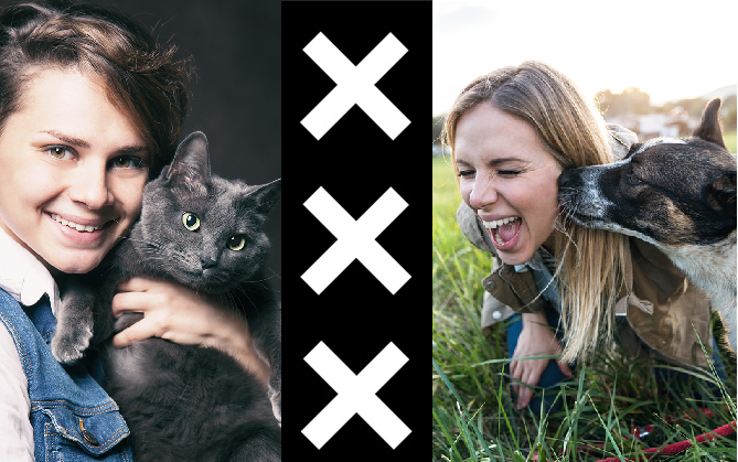 Amsterdam: a cat or dog city? - Main image / Thumbnail (1100 x 660)