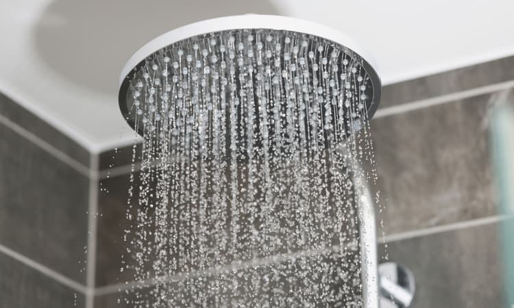 Swiss Energy Minister suggests people shower together to save power