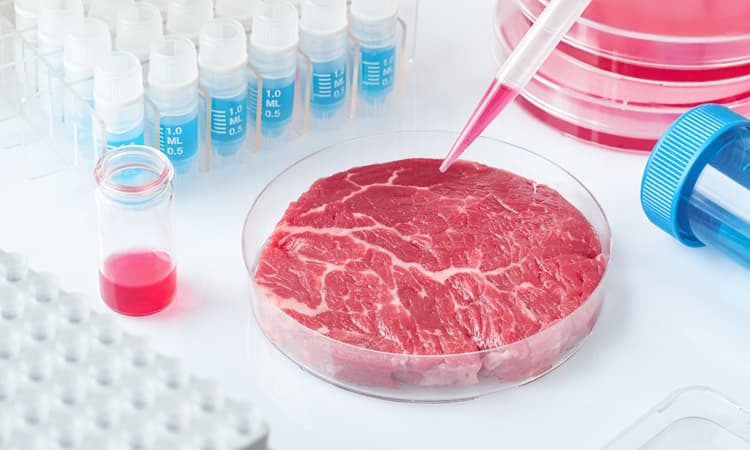 First application submitted to sell lab-grown meat in Switzerland