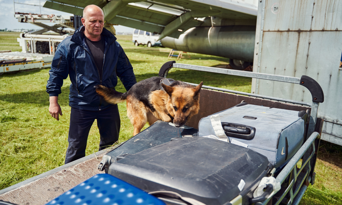 Airport Sniffer Dogs Berlin Cannabis