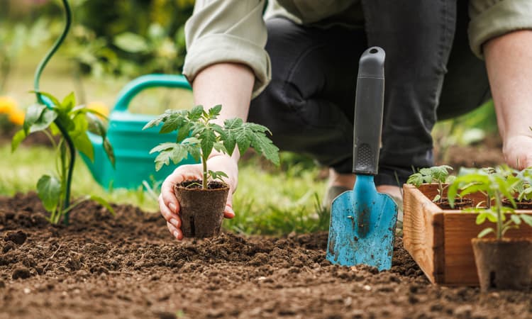 Zurich doctors to prescribe gardening and dance classes in future