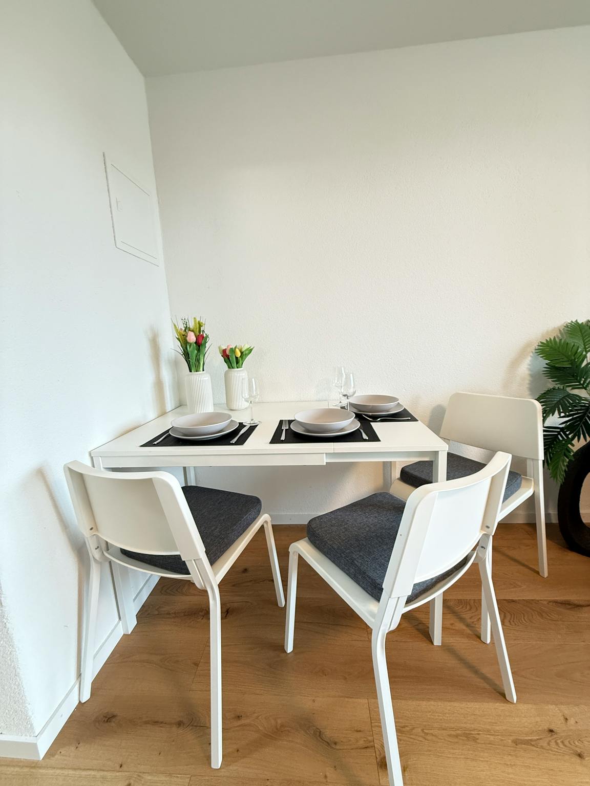 Apartment, Sankt Gallerstrasse, Rorschach