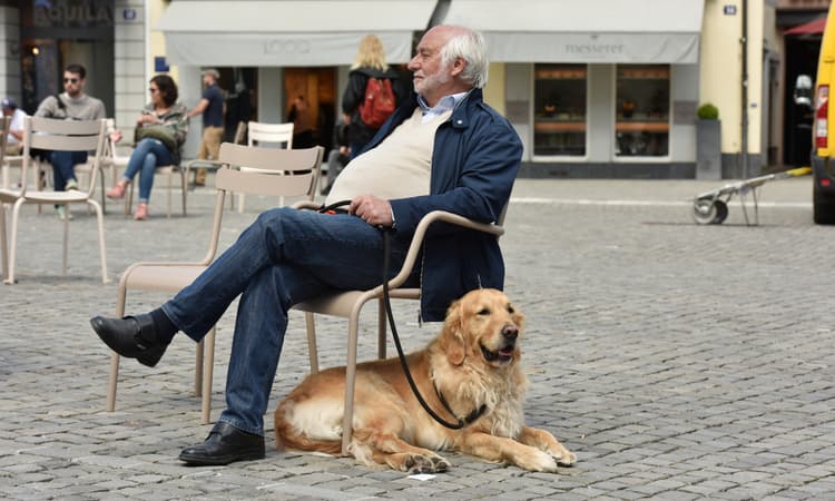 New dog law to be enforced in Zurich: What owners need to know