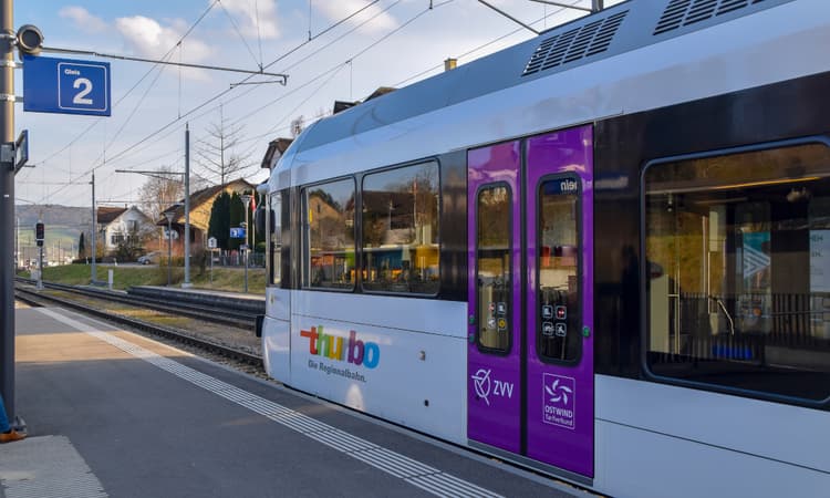 Passengers on Swiss train told to jump up and down to free wedged door