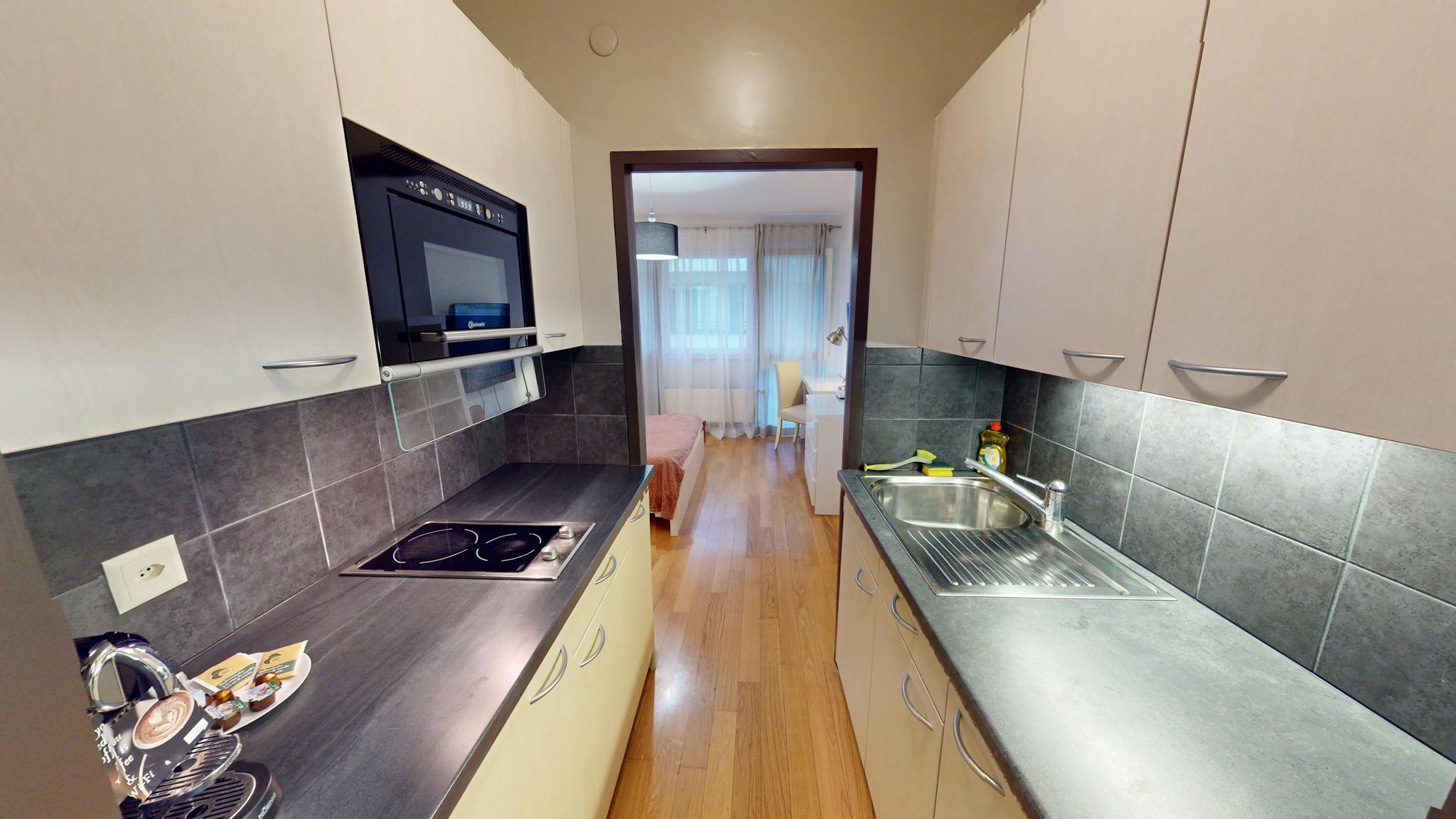 Apartment, Rue Goetz-Monin, Geneva