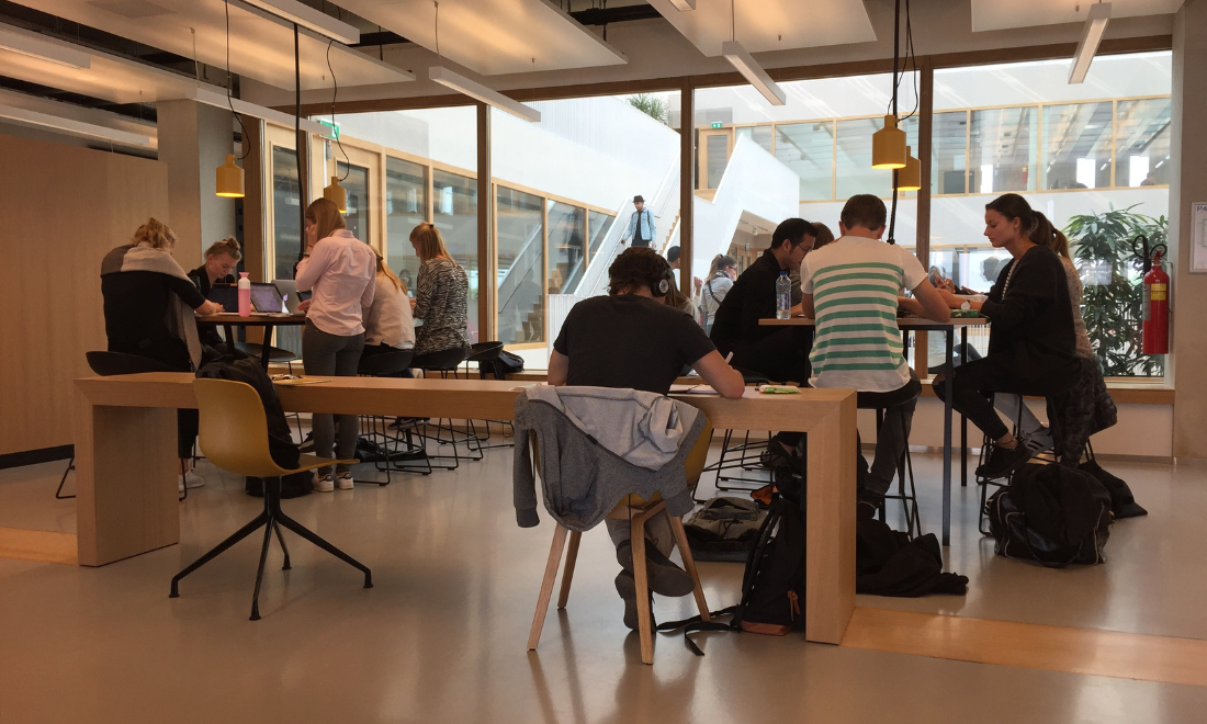 Students at university library in the Netherlands