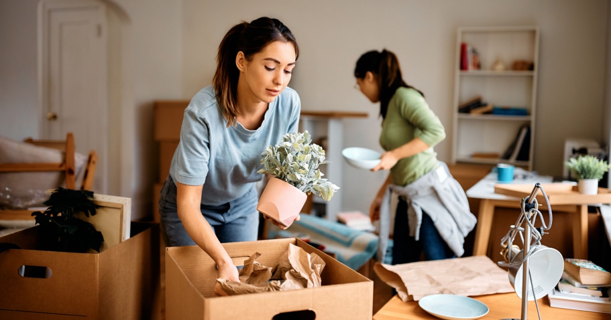 What does a small move in a Dutch city really cost?