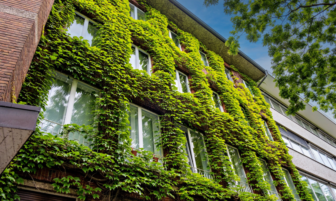 5 steps to owning your own property in Germany