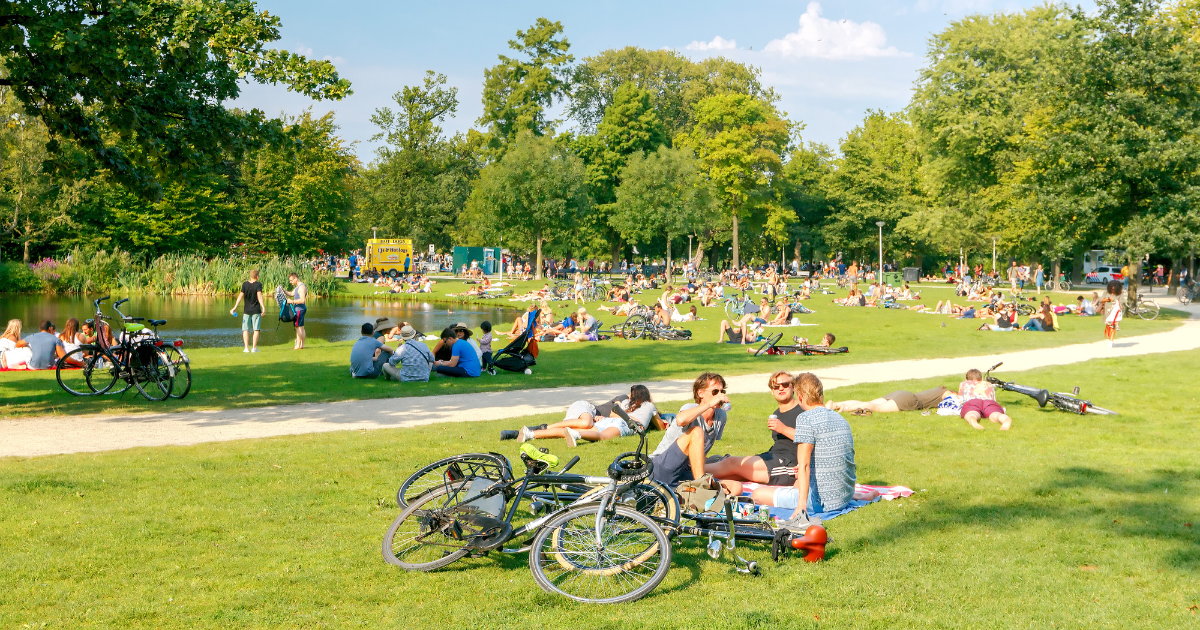 Sunshine Record Netherlands 2025