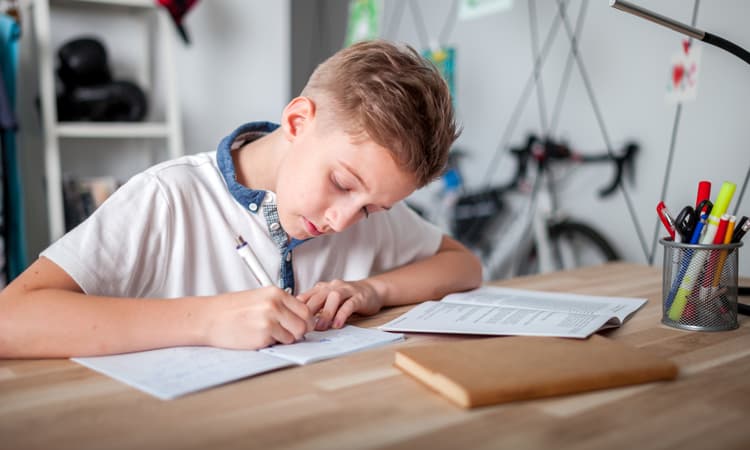Canton Zurich uses AI to check homework as part of landmark trial
