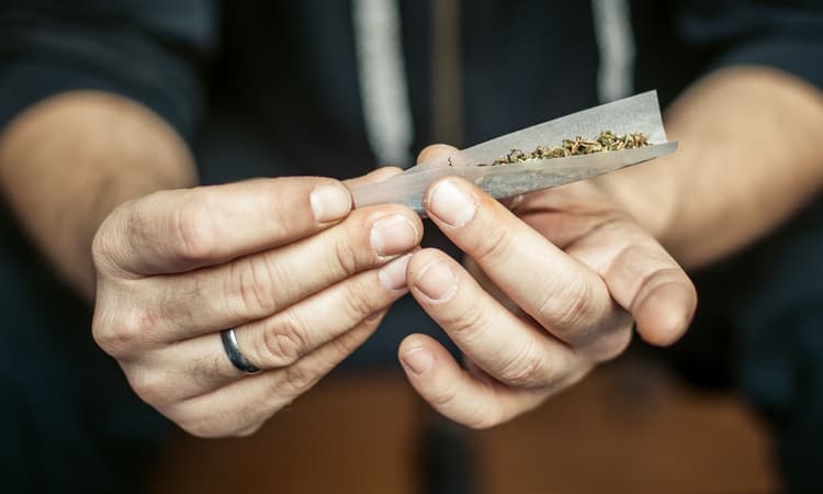 Legal cannabis trial begins in Zurich: What you need to know