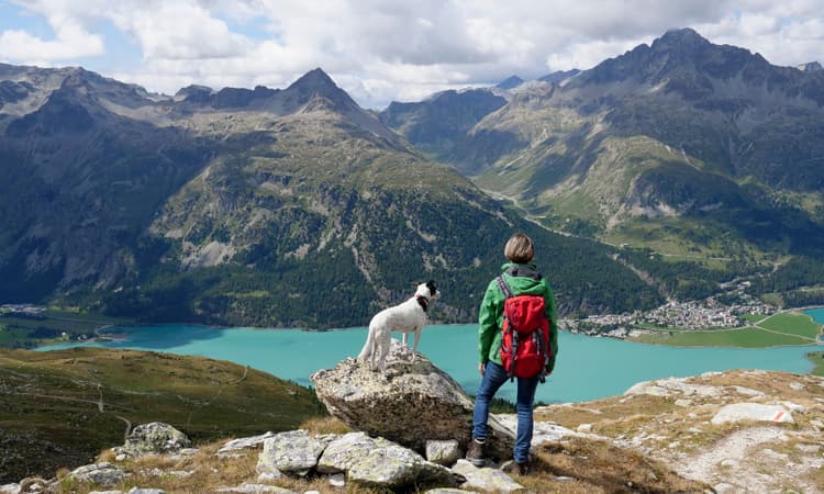 Discover a health insurance plan that follows you around the world with Cigna
