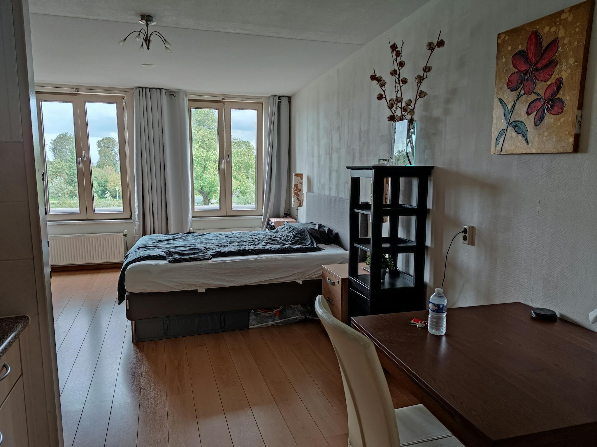Apartment, P. Hans Frankfurthersingel, Amsterdam