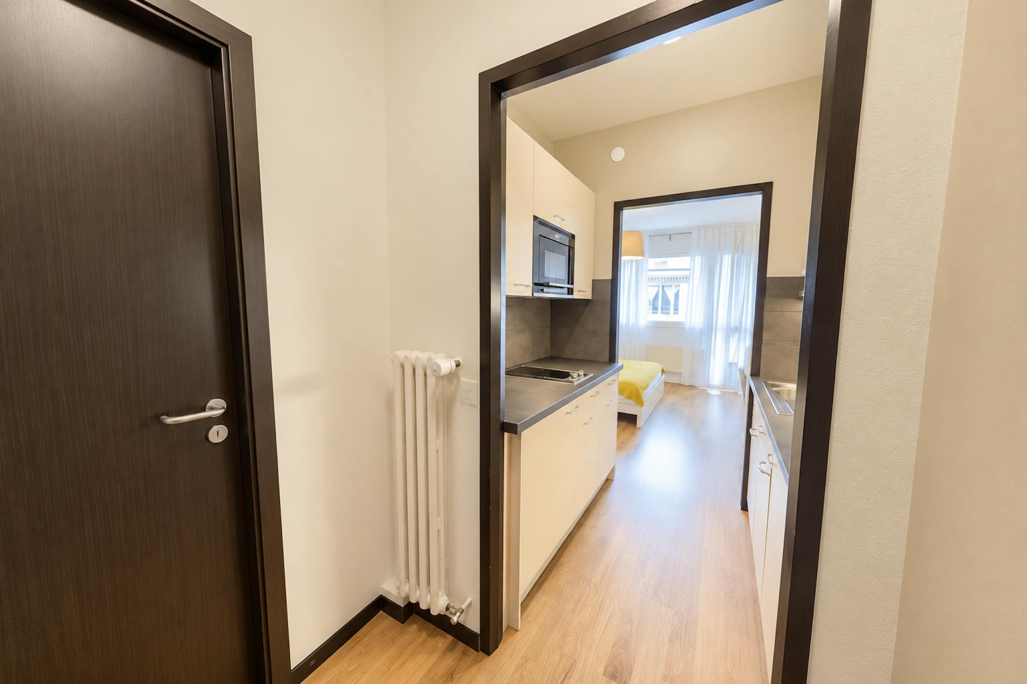 Apartment, Rue Goetz-Monin, Geneva