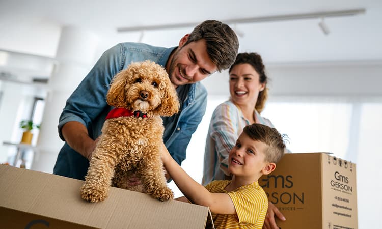 Save money during your international move with Gerson Moving Services