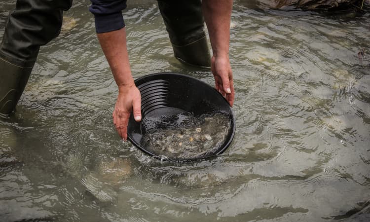 Gold rush on the Töss: Zurich to clamp down on gold panning