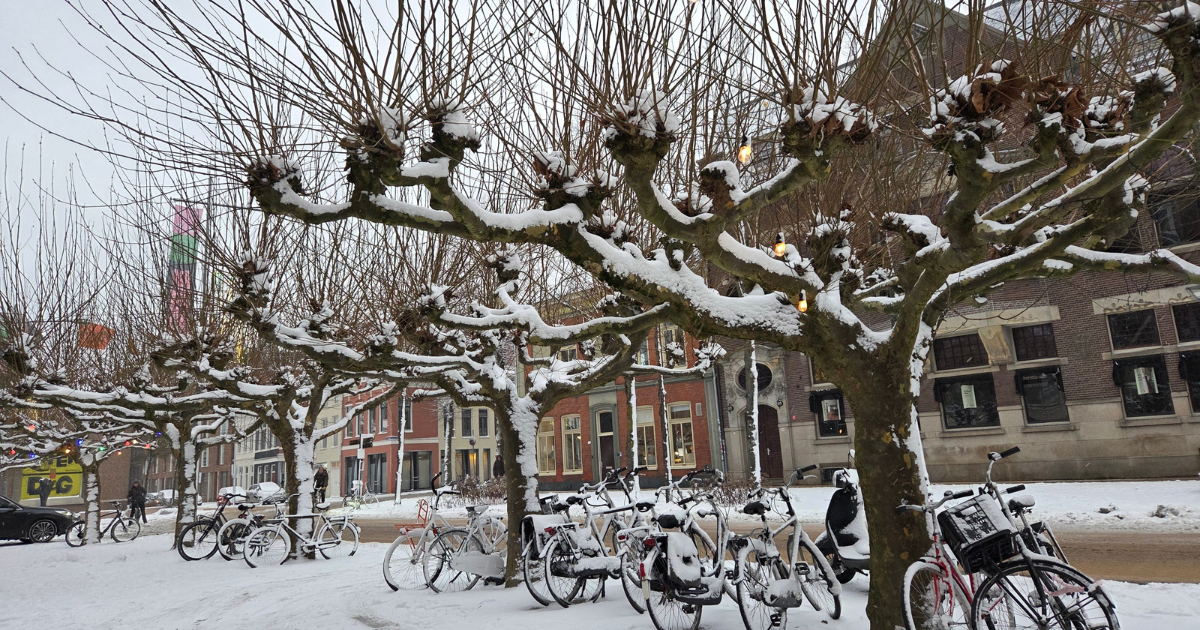 Snow Northern Netherlands