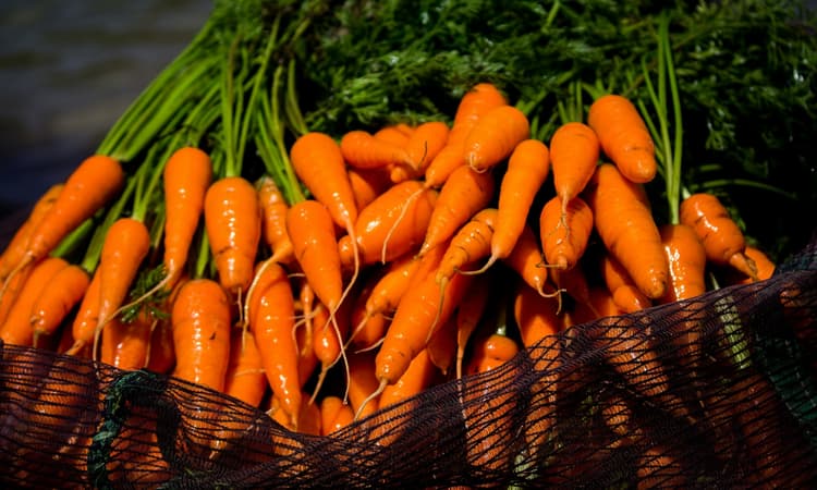 Swiss farmer overwhelmed as hundreds show up to help harvest his carrots