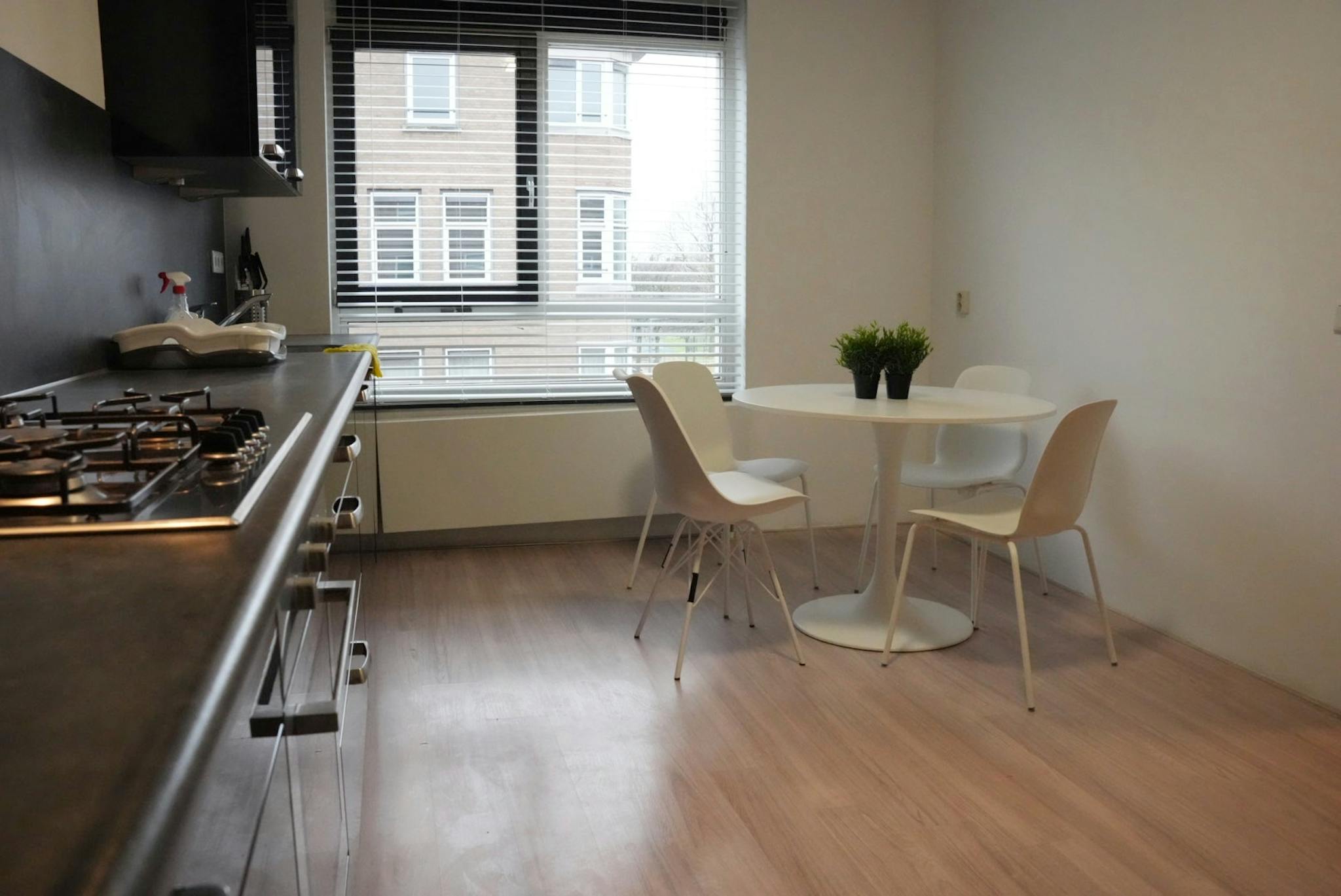 House, Den Hertigstraat, Rotterdam