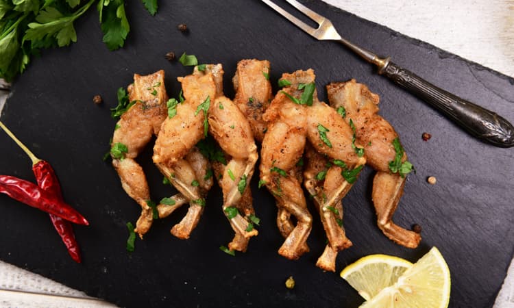 Frogs at risk due to higher consumption of frogs legs in Switzerland
