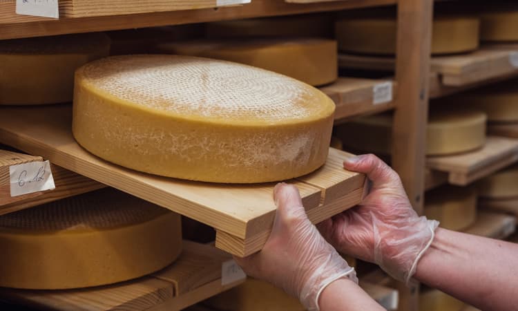 The best Swiss cheeses for 2024 revealed