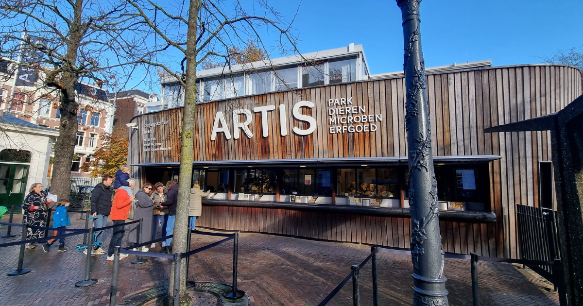 Artis Urban Night Sky