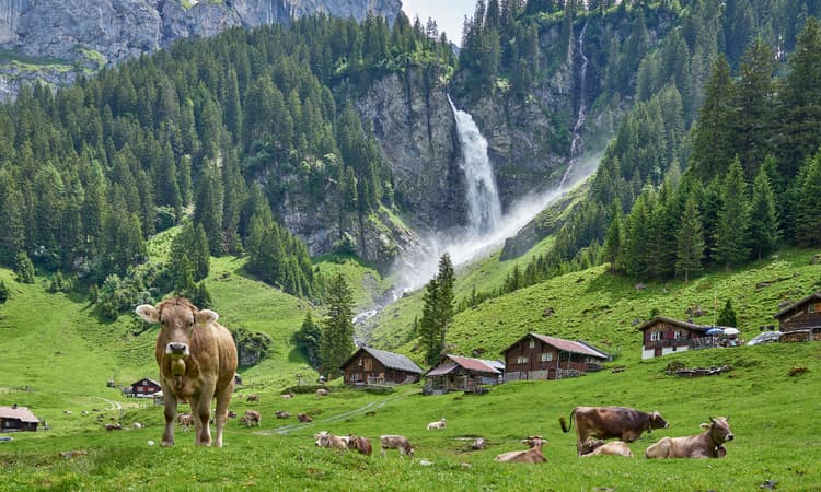 Swiss Alpine season added to UNESCO cultural heritage list
