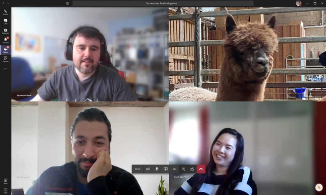 video call alpaca