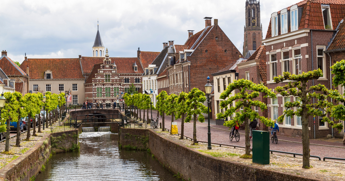 Cat Steps Amersfoort Canals