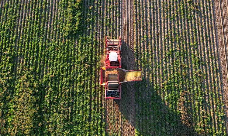 Shortage of local produce as Switzerland suffers poor harvest