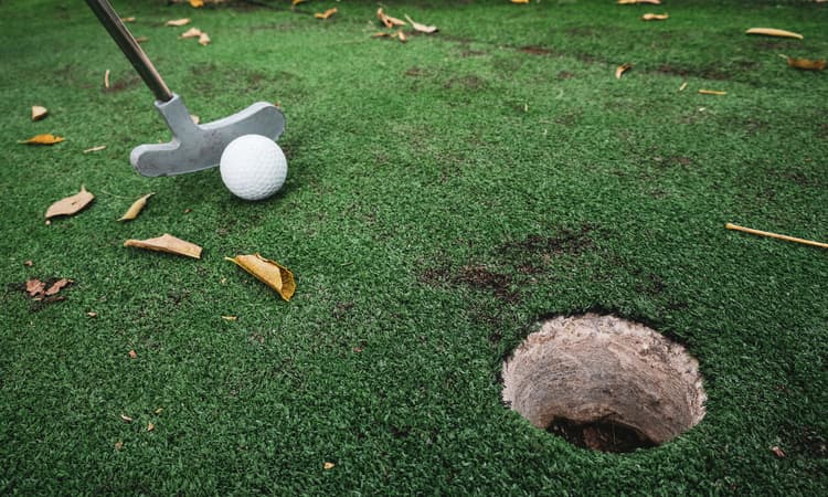 Town in Zurich pays 3,5 million francs to save its mini golf course
