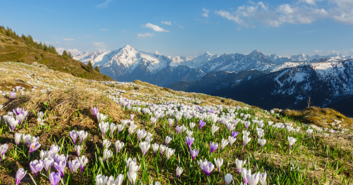 March 2026: 11 things affecting expats in Switzerland