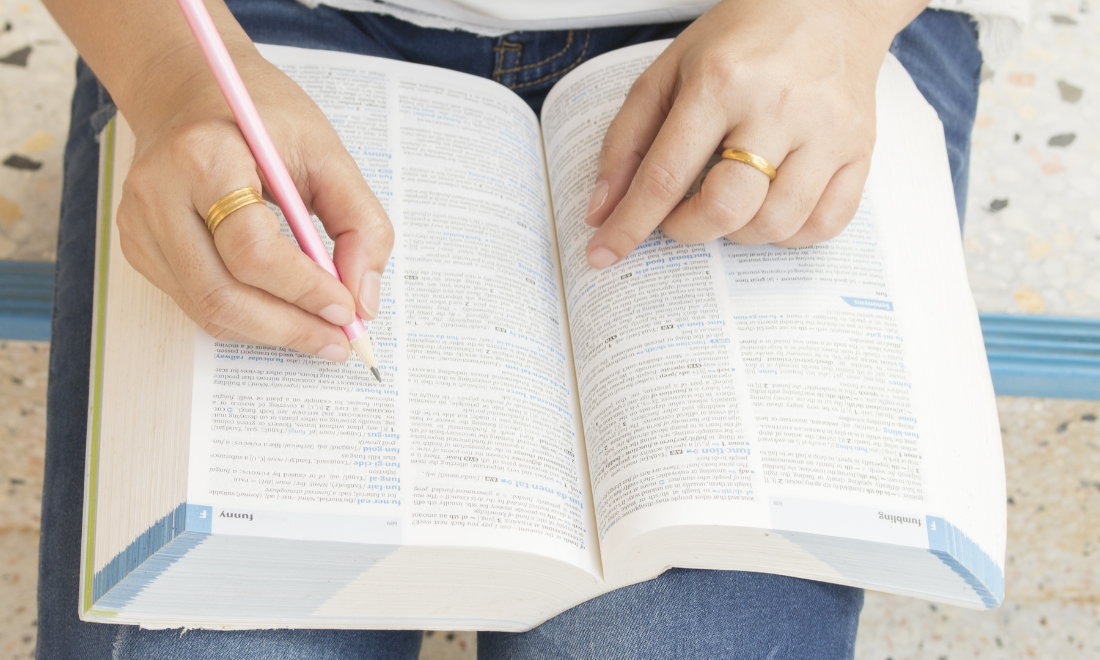 Polarisation named as the Netherlands’ word of the year for 2024