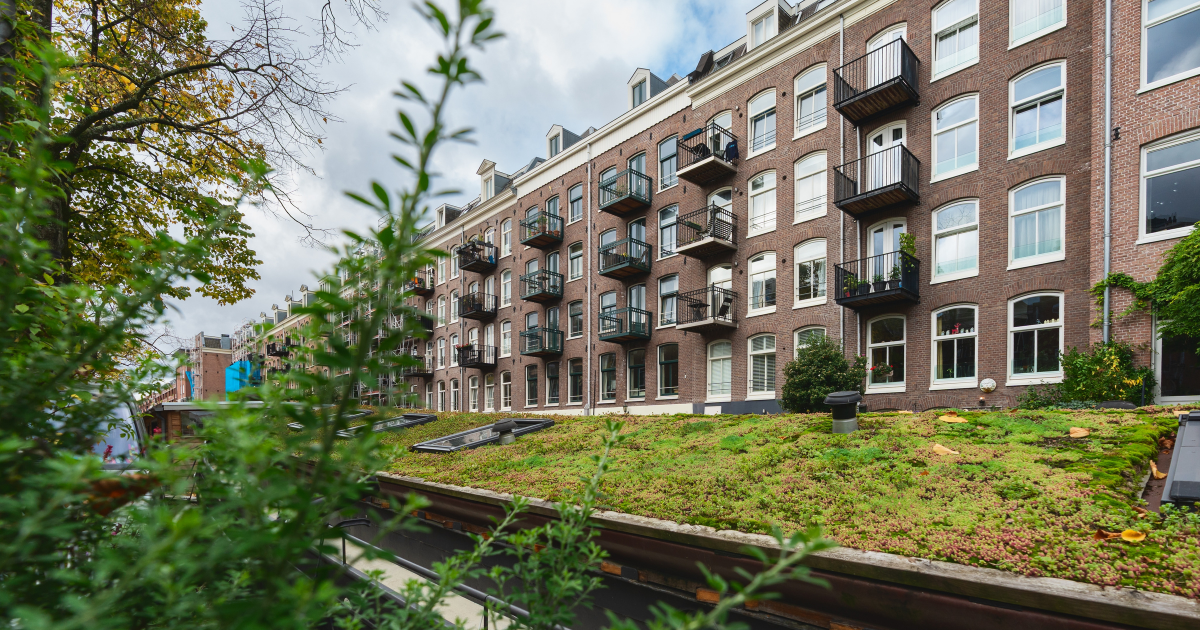 Social housing in Amsterdam increases despite national decline