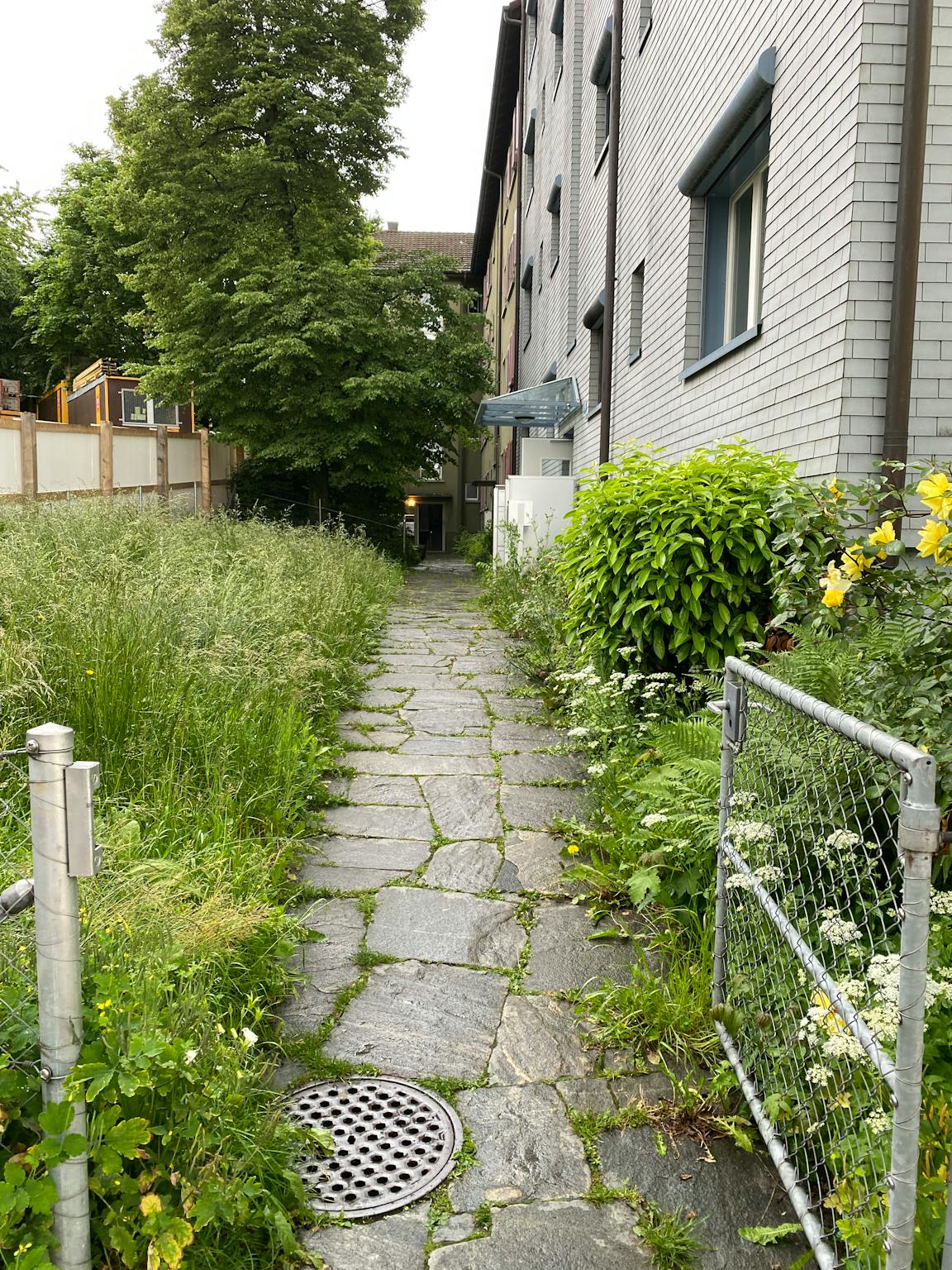 Apartment, Tramstrasse, Zurich