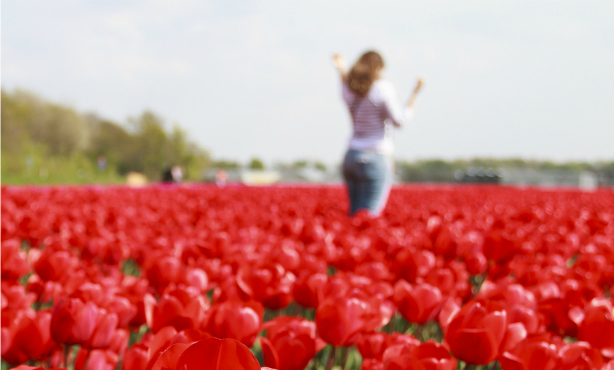 Life, love and learning as a newcomer to the Netherlands - Main image / Thumbnail (1100 x 660)