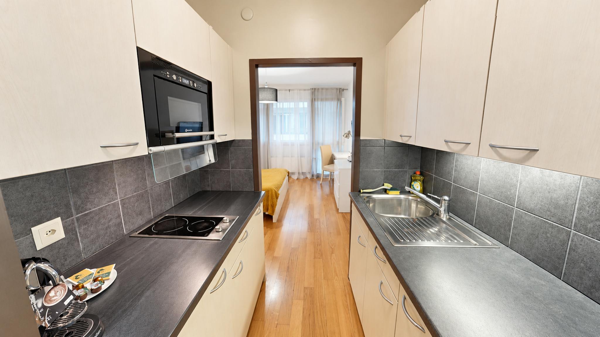 Apartment, Rue Goetz-Monin, Geneva