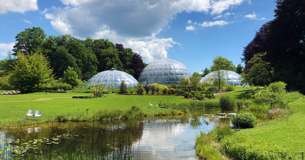 Escape the city: 7 stunning Swiss botanical gardens to visit this season