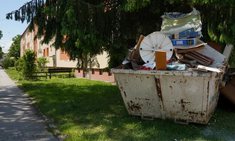 Painting found in Swiss dumpster sells for over 60.000 francs