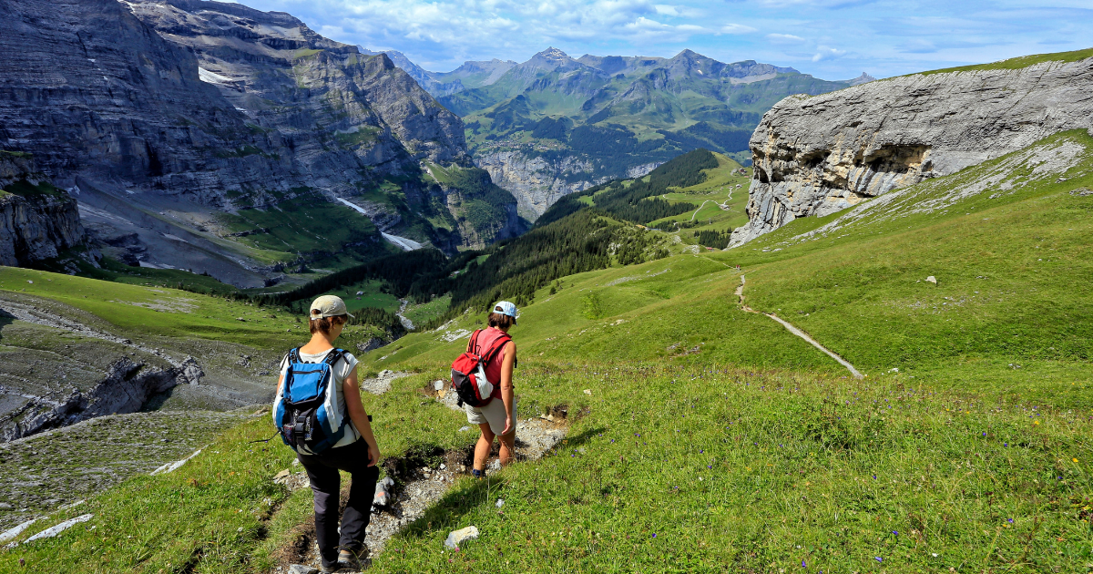 Tick Warning in Switzerland (1)