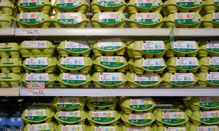 Swiss free-range eggs produced by indoor hens due to bird flu fears