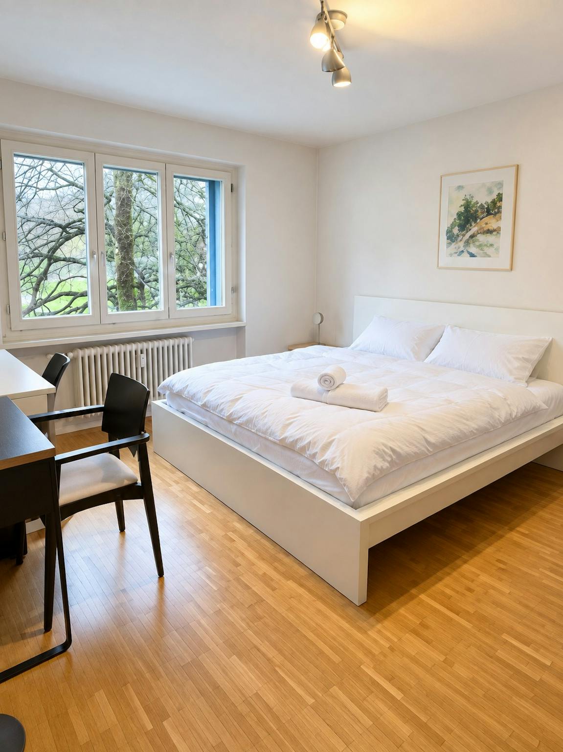 Apartment, Tramstrasse, Zurich
