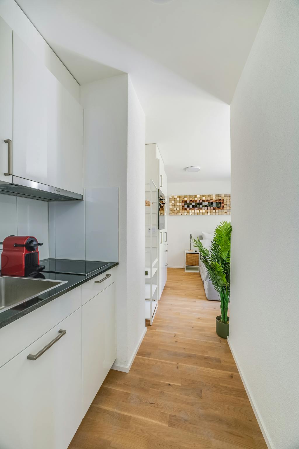 Apartment, Wassergasse, St. Gallen