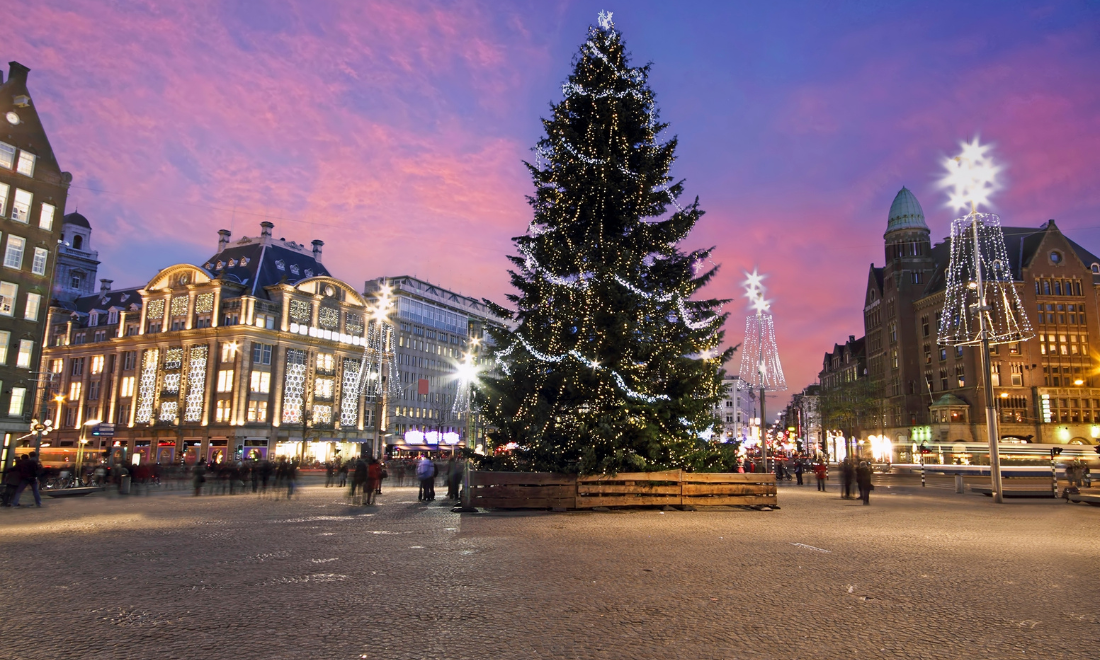 Christmas tree in the Netherlands