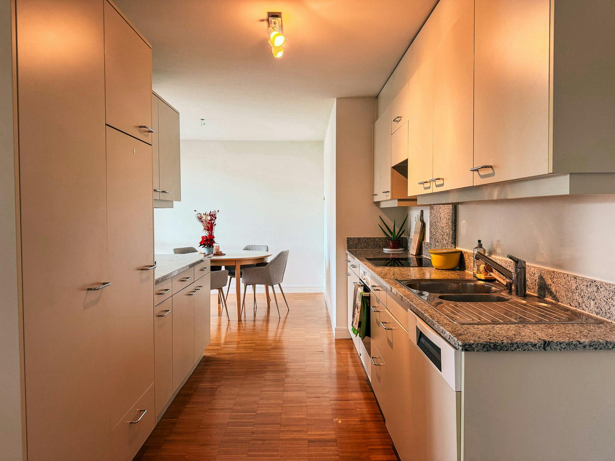 Apartment, Seestrasse, Horgen