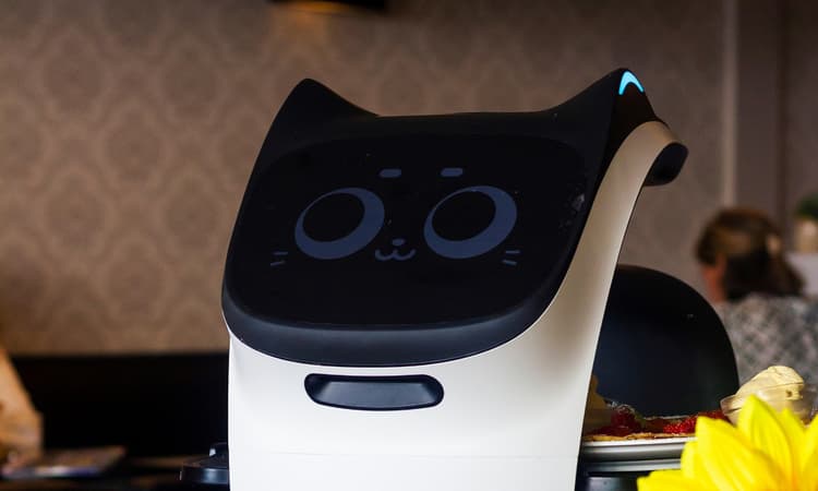 Revolutionary robot waiter in Swiss city risks losing its job due to errors