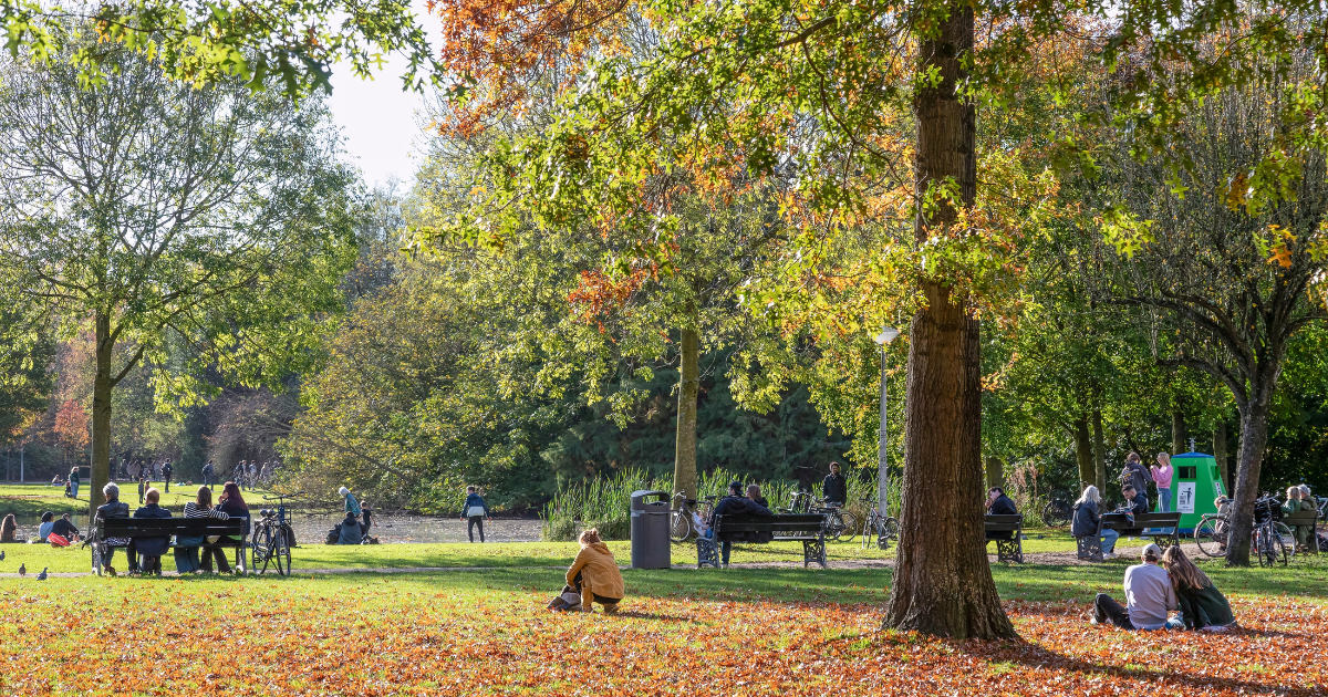 September 2026: 6 changes expats in the Netherlands need to know about