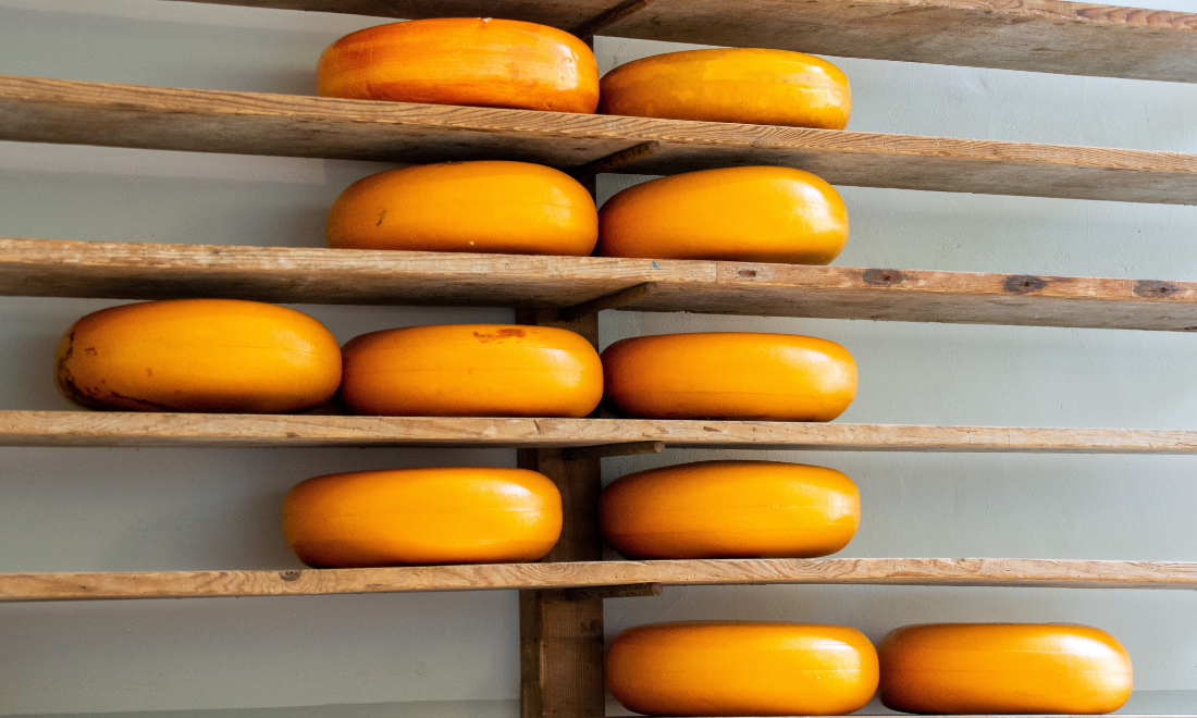 Dutch cheese