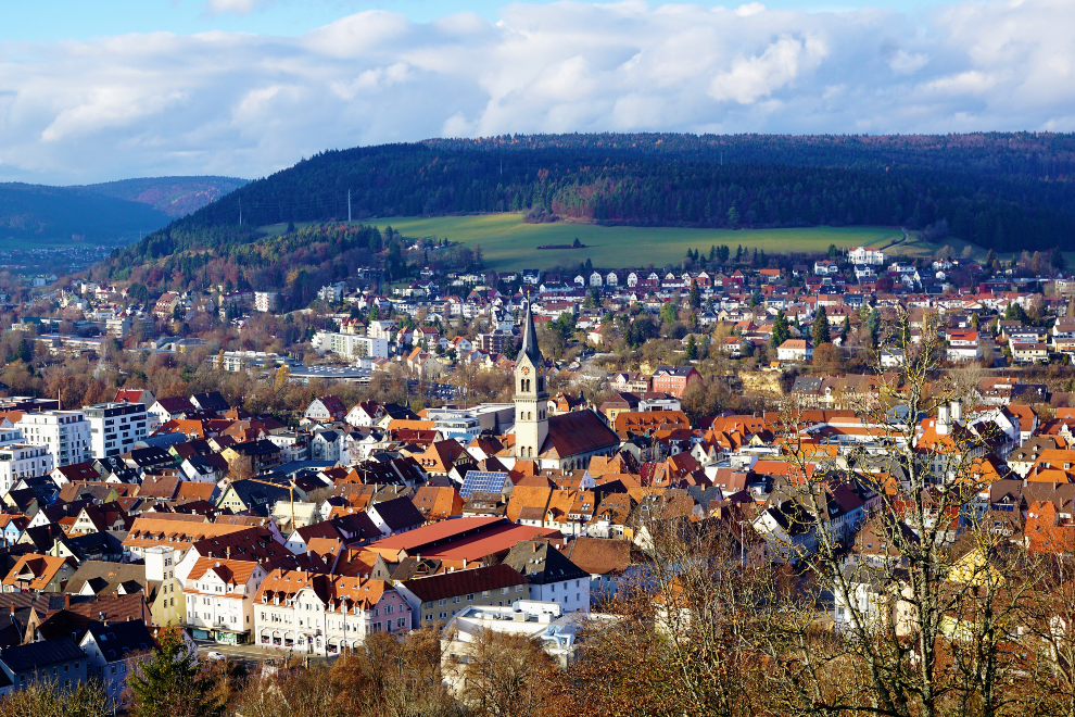Tuttlingen Racist Attack Germany