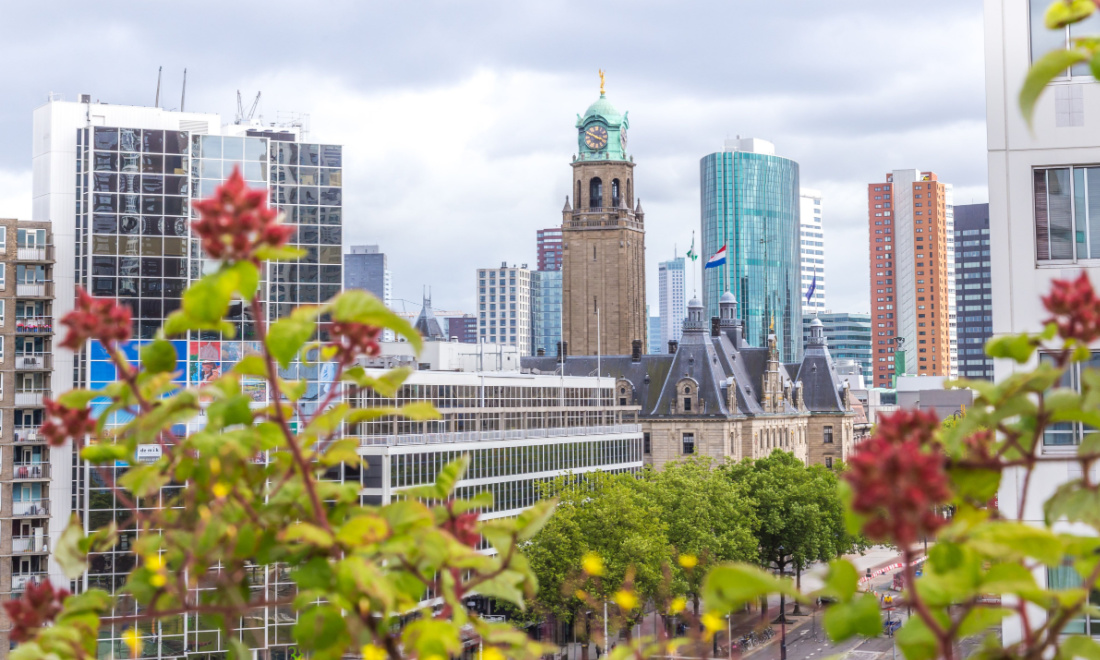 Rotterdam to build 2km rooftop park on former railway tracks
